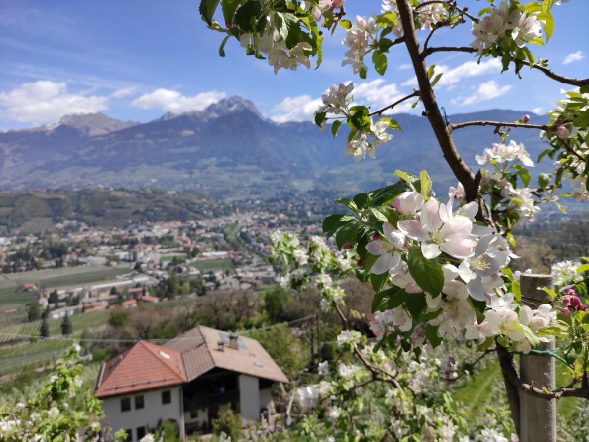 Apartment Hagen Merano Luaran gambar